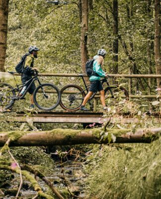 Entdecken Sie die Wildnis: Auf der Trans Bayerwald durch den grünen Zauber