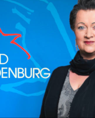 Bessin: „Die AfD steht für mehr und mehr direkte Demokratie und will selbstverständlich nicht die Parteienlandschaft abschaffen!“