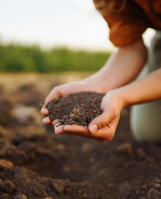 Artenretten fängt im Boden an