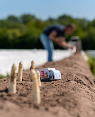 Spargelboom in DeutschlandRanking zeigt, wo am meisten geschlemmt wird