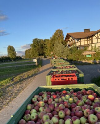 Apfelernte am Bodensee – Das Naturresort Gerbehof ist der perfekte Ort für den spätsommerlichen Fahrrad- und Wanderurlaub