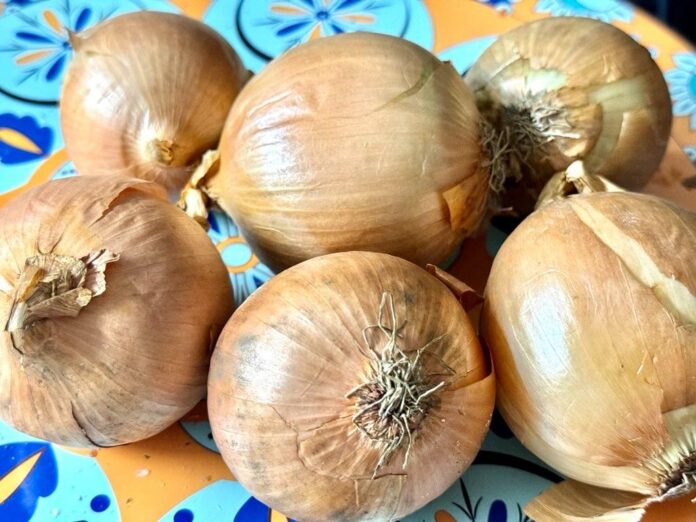 Zwiebeln bei Erkältungen essen