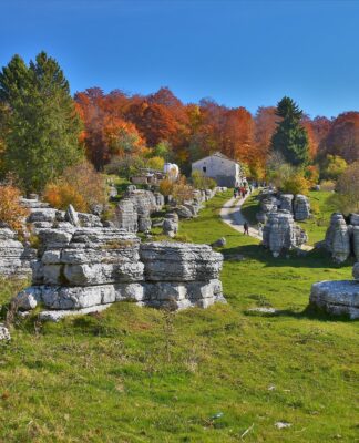 Goldener Herbst am Gardasee: Die Nebensaison lockt mit kulinarischen Highlights