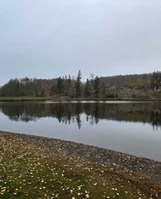 Warum kaltes Wasserbaden im Oktober so gesund ist