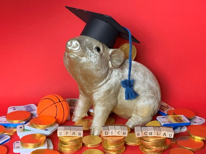 SchlauSparen_1_Hannes_Schuller-Manta