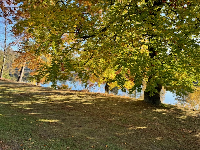 Yoga-Retreat mit Jane Uhlig: intermittierendes Fasten, Autophagie und Rituale im Ferienpark Birnbaumteich 1 Yoga Retreat mit Jane Uhlig im Ferienpark am Birnbaumteich