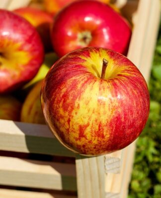 Äpfel für deine Gesundheit: Wie ein einfacher Snack dein Leben verändern kann