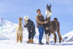 Livigno_Alpaka-Lama-Hike_