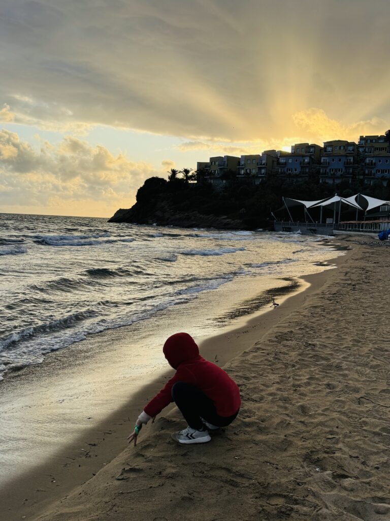 IMG 9645 Janes Magazin