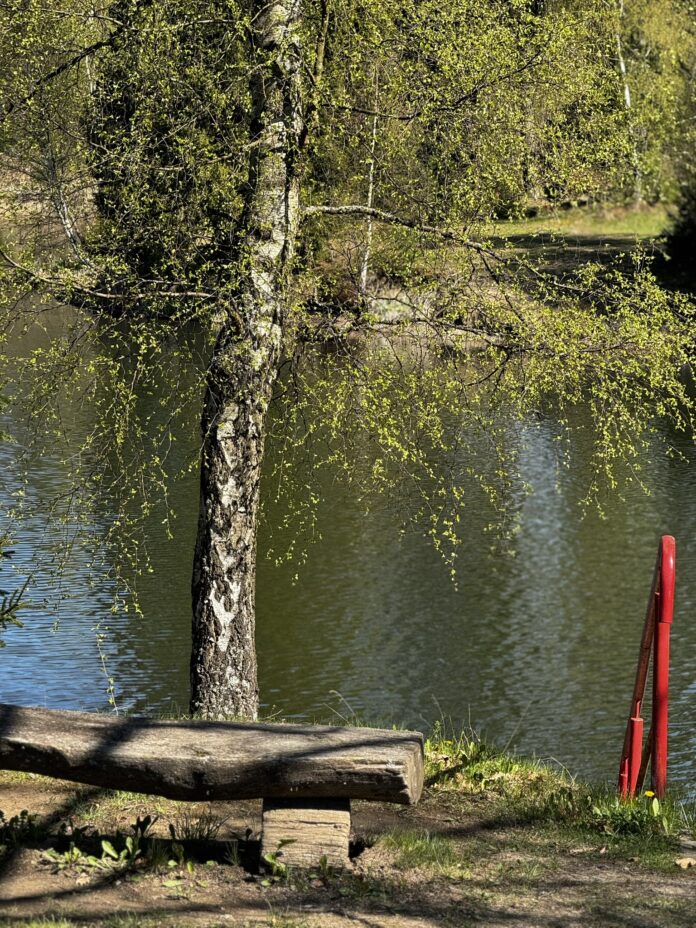 Foto des Tages: Birnbaumteich im Harz - Ferienpark