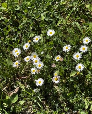 16 Immun-Kicks, die dein Immunsystem stärken