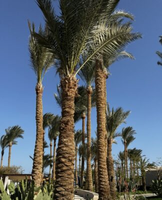 Hurghada – Makadi Bay: Lebendige Ganzjahresdestination am Roten Meer