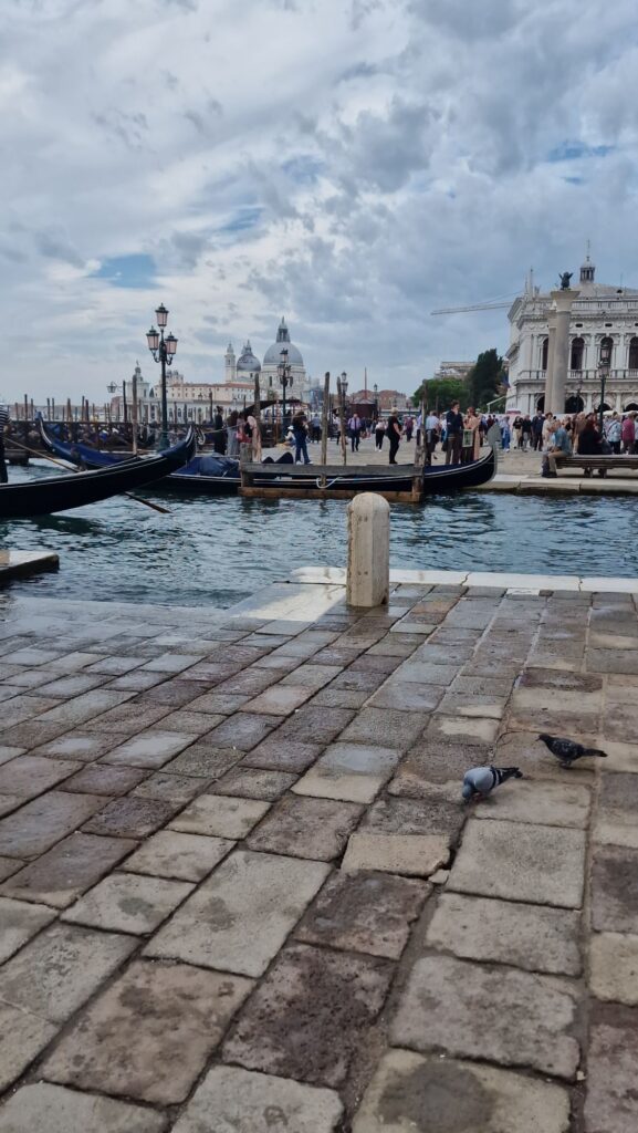 Venedig – Eine märchenhafte Reise zwischen Wasser, Palazzi und italienischer Magie 8 20240927 1141512100626768051930108 Janes Magazin