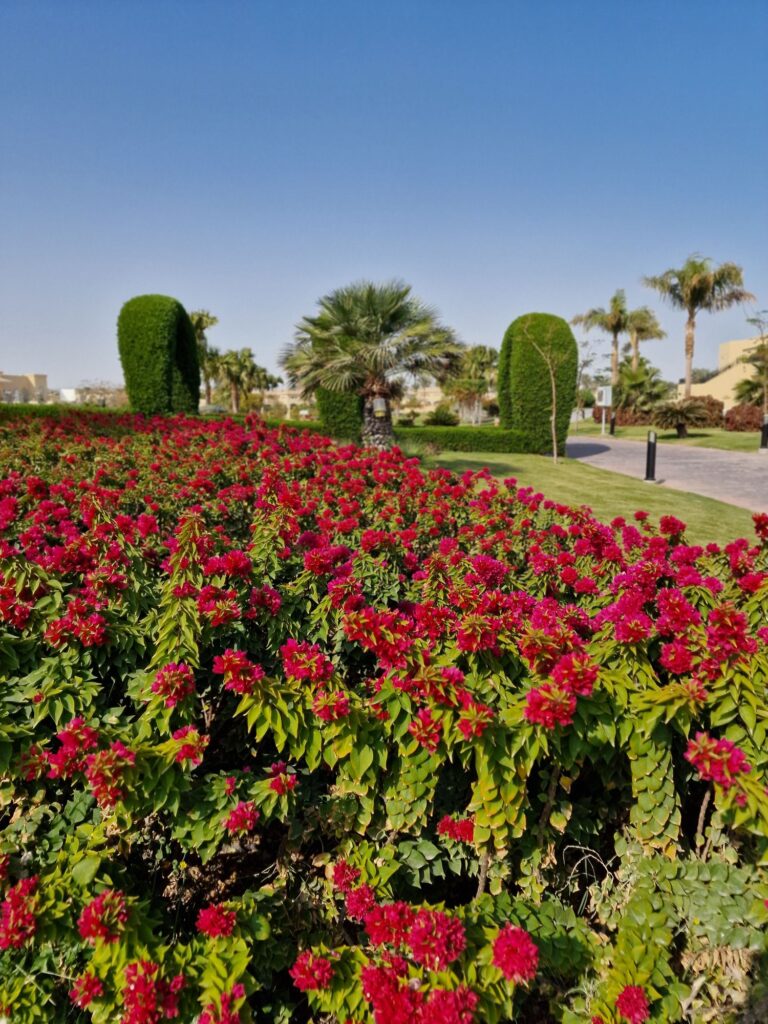 Makadi Bay – Traumhafte Urlaubstage am Roten Meer 17 20260105 1046357357226636045912931 Janes Magazin