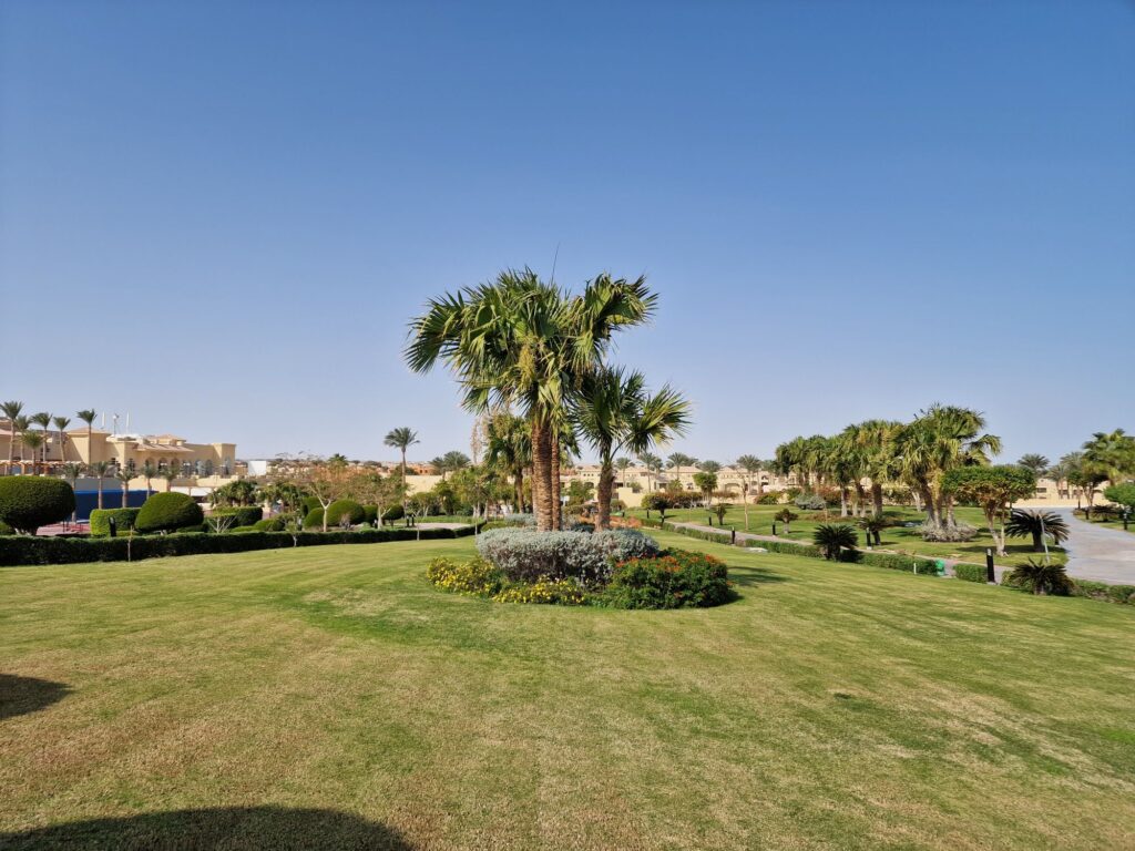 Makadi Bay – Traumhafte Urlaubstage am Roten Meer 18 20260105 1047324431931808439278203 Janes Magazin