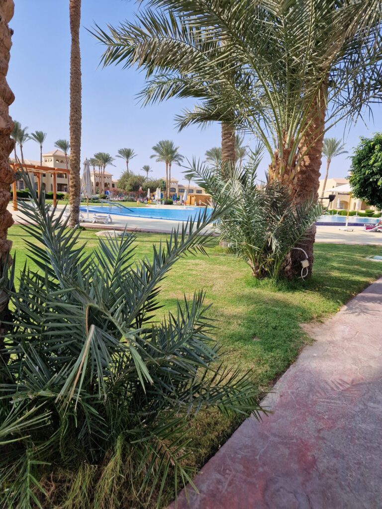 Makadi Bay – Traumhafte Urlaubstage am Roten Meer 14 20260105 1129232483497476188569697 Janes Magazin