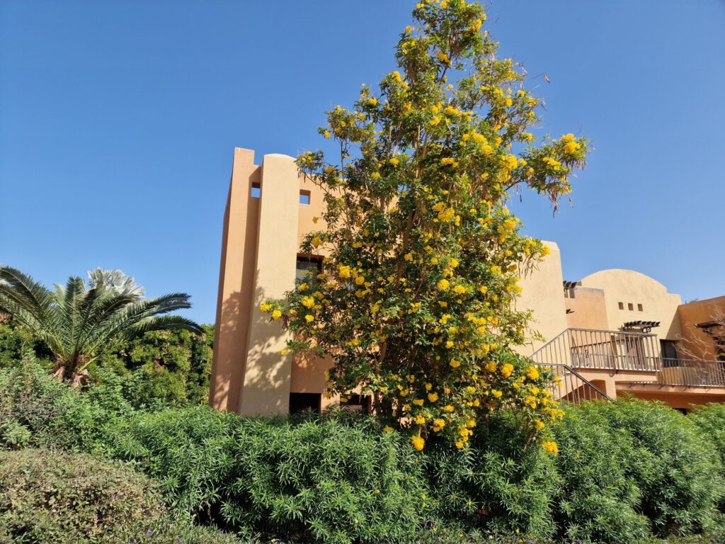 Makadi Bay – Traumhafte Urlaubstage am Roten Meer 12 20260106 114406524633806270172777 Janes Magazin