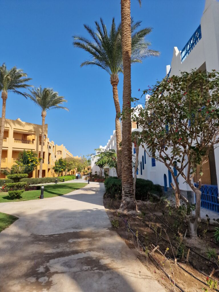 Makadi Bay – Traumhafte Urlaubstage am Roten Meer 10 20260106 1155024537954700823180348 Janes Magazin