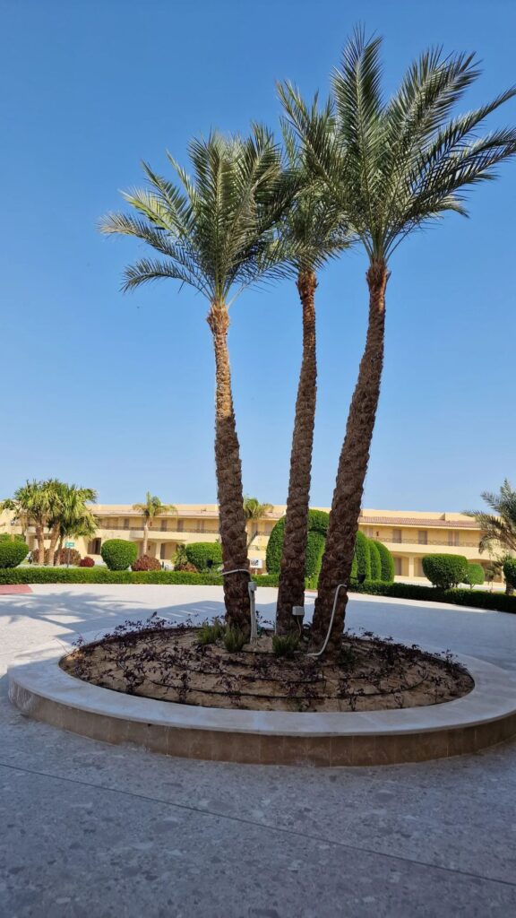 Makadi Bay – Traumhafte Urlaubstage am Roten Meer 6 img 20260105 110744 9242385679727149242172 Janes Magazin