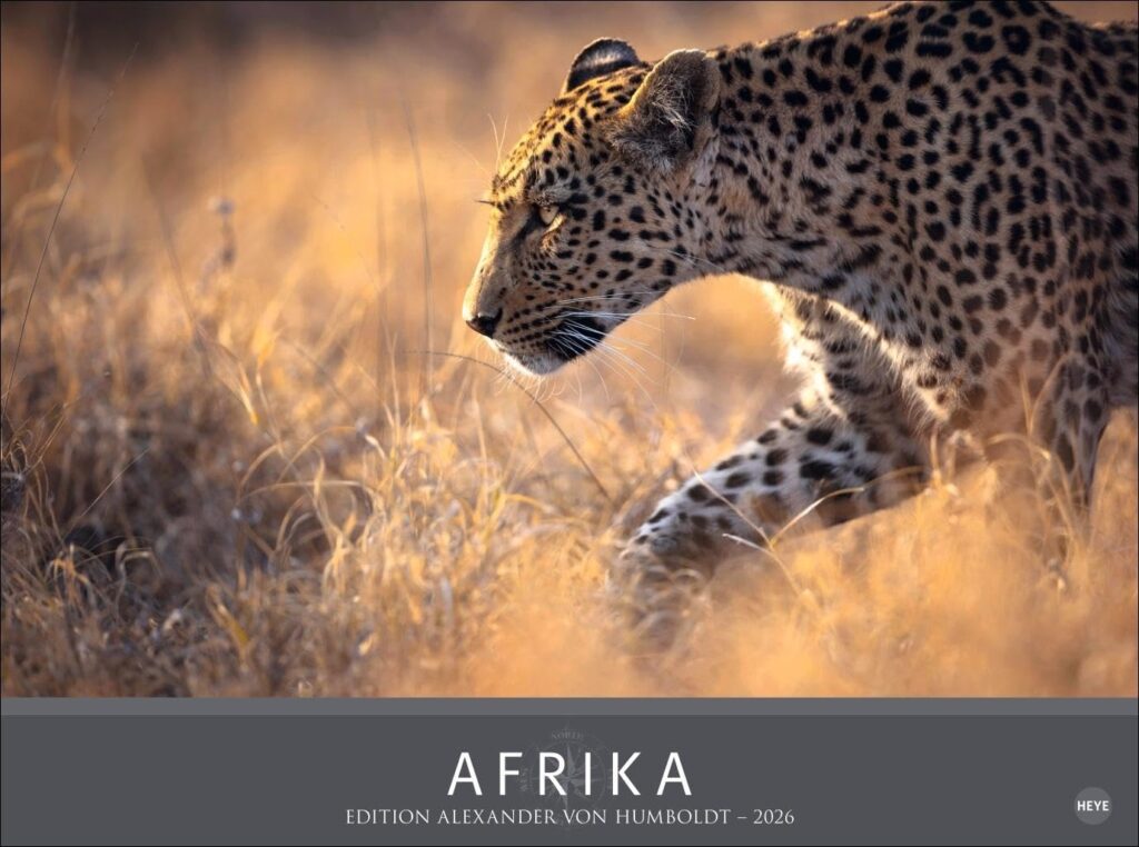 International Travel BookAward 2026: Afrika-Kalender begeistern Jury mit spektakulären Wildlife-Motiven 1 International Travel BookAward 2026: Afrika-Kalender begeistern Jury mit spektakulären Wildlife-Motiven