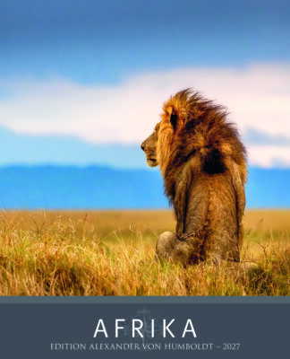 International Travel BookAward 2026: Afrika-Kalender begeistern Jury mit spektakulären Wildlife-Motiven
