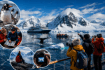 IKARUS TOURS: Expeditionsreisen entwickeln sich vom Bucket-List-Erlebnis zum Wachstumsmarkt / statement Nicolas Kitzki CEO-IKARUS TOURS