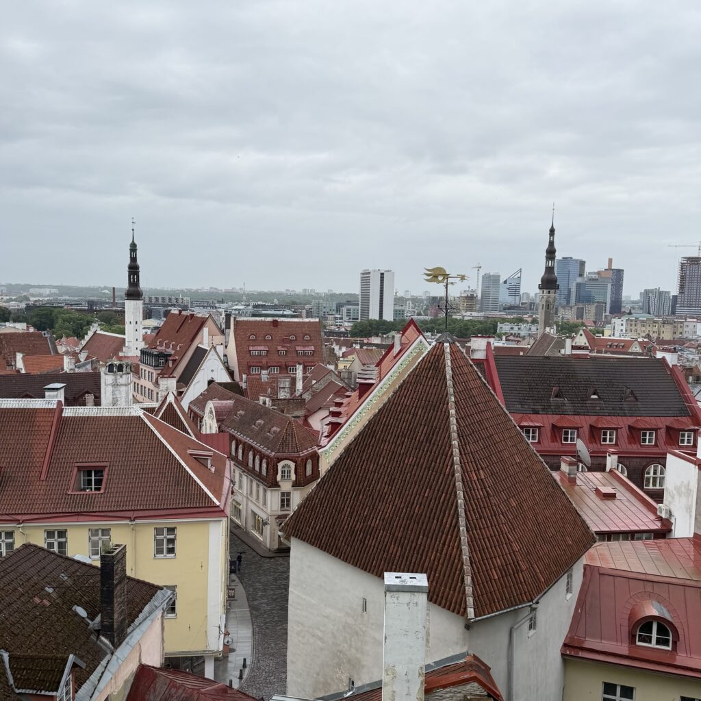 Tallinn – Eine Hauptstadt voller Geschichte, Charakter und hanseatischer Eleganz 11 img 4716 Janes Magazin