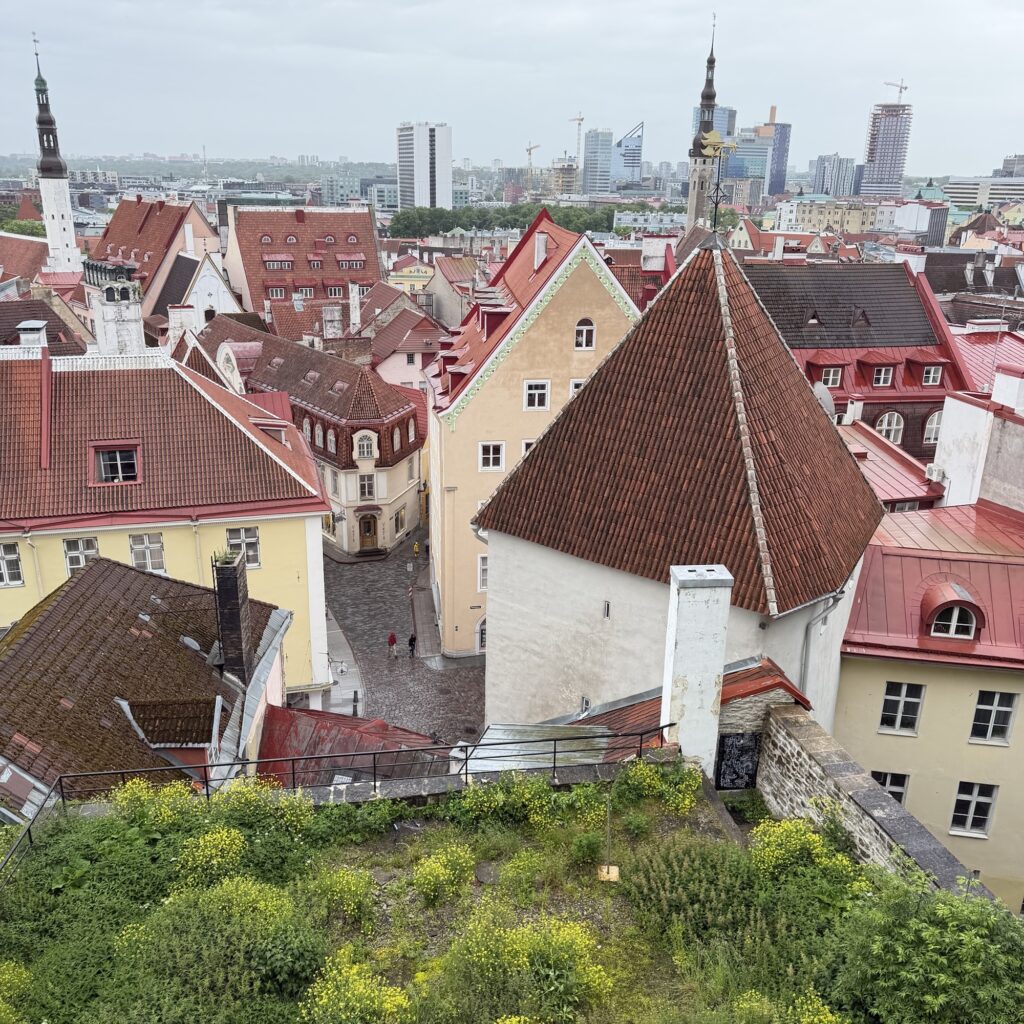 Tallinn – Eine Hauptstadt voller Geschichte, Charakter und hanseatischer Eleganz 1 img 4727 Janes Magazin