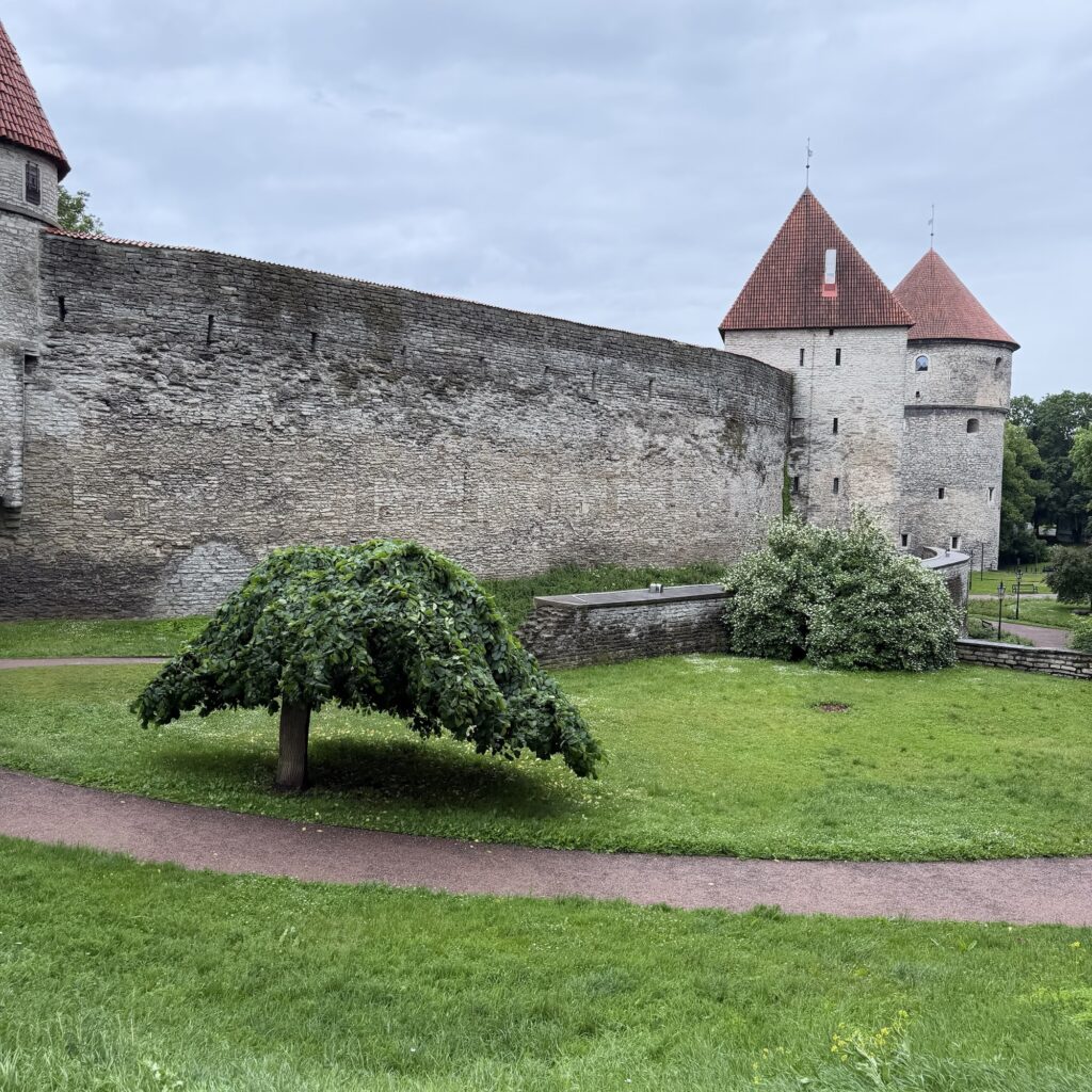 Tallinn – Eine Hauptstadt voller Geschichte, Charakter und hanseatischer Eleganz 6 img 4742 Janes Magazin