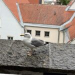 img_4757