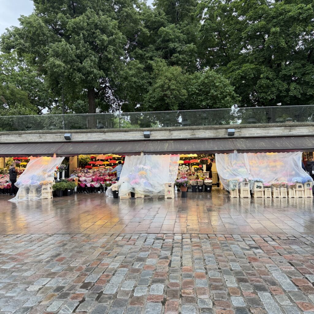 Tallinn – Eine Hauptstadt voller Geschichte, Charakter und hanseatischer Eleganz 22 img 4833 Janes Magazin