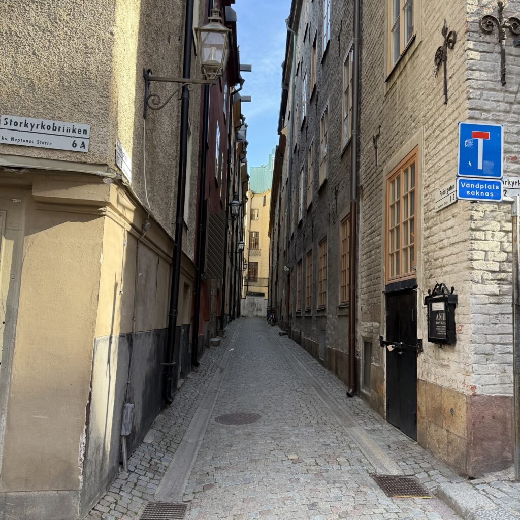Stockholm erleben: Königsschloss, Altstadt und Hafen – Warum Schwedens Hauptstadt zu den schönsten Städten Europas zählt 23 img 5203 Janes Magazin