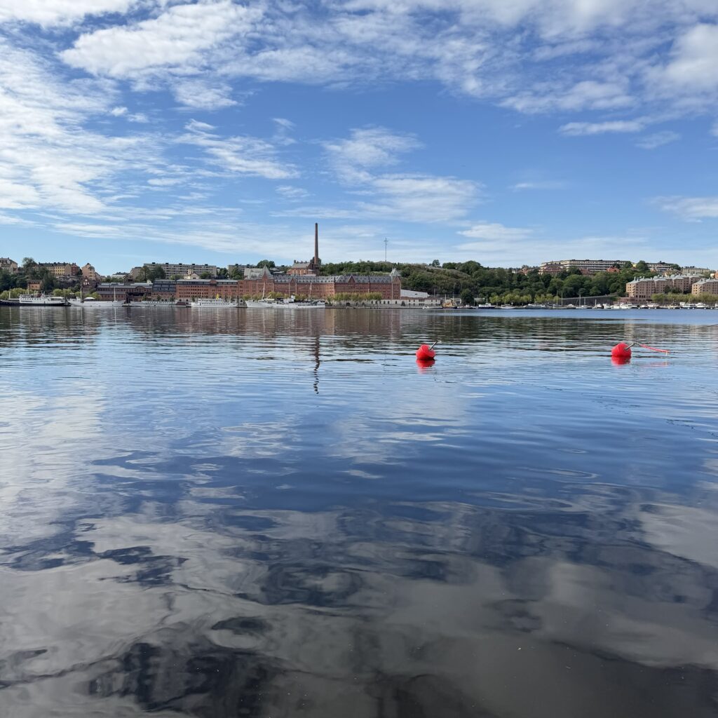 Stockholm erleben: Königsschloss, Altstadt und Hafen – Warum Schwedens Hauptstadt zu den schönsten Städten Europas zählt 31 img 5362 Janes Magazin