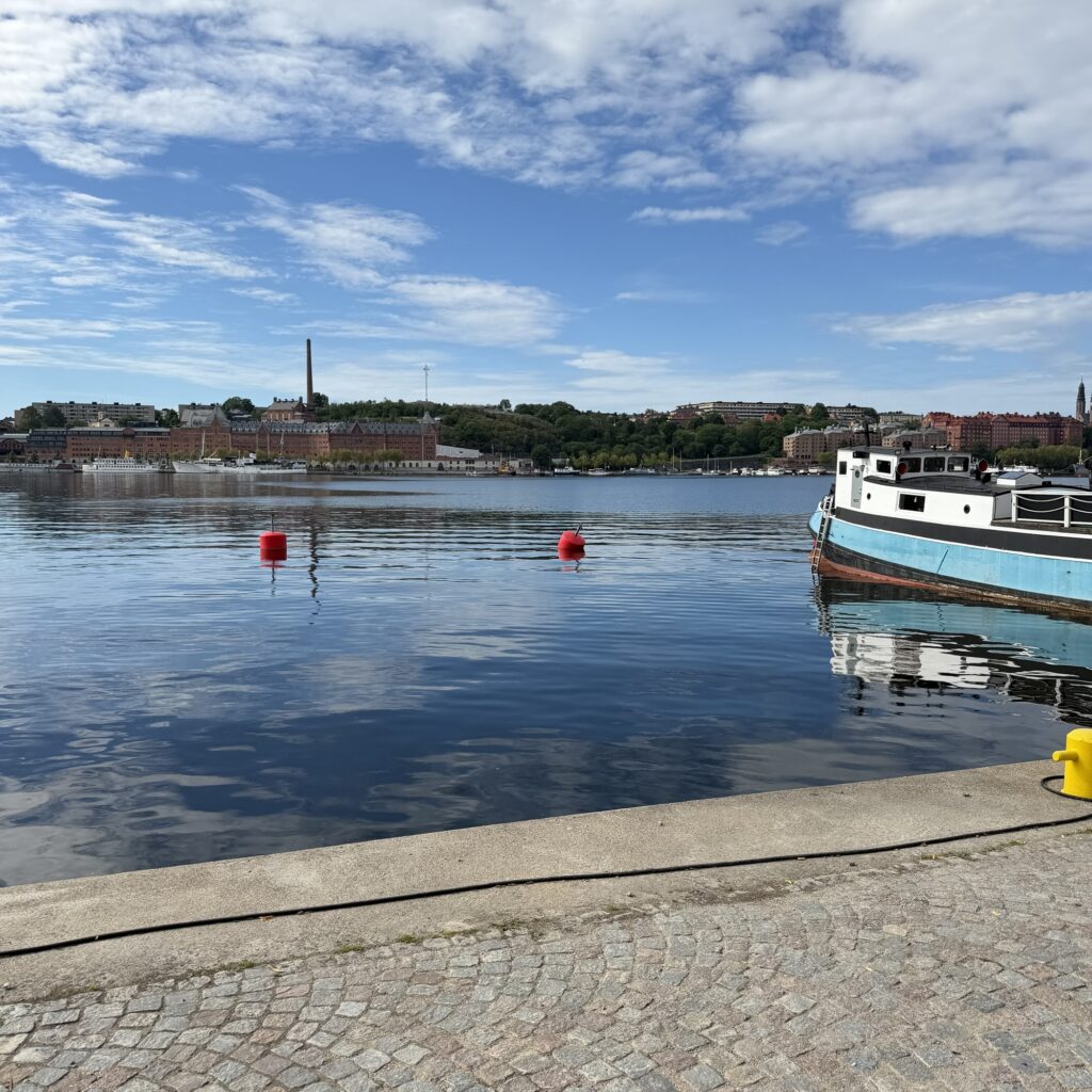 Stockholm erleben: Königsschloss, Altstadt und Hafen – Warum Schwedens Hauptstadt zu den schönsten Städten Europas zählt 8 img 5378 Janes Magazin