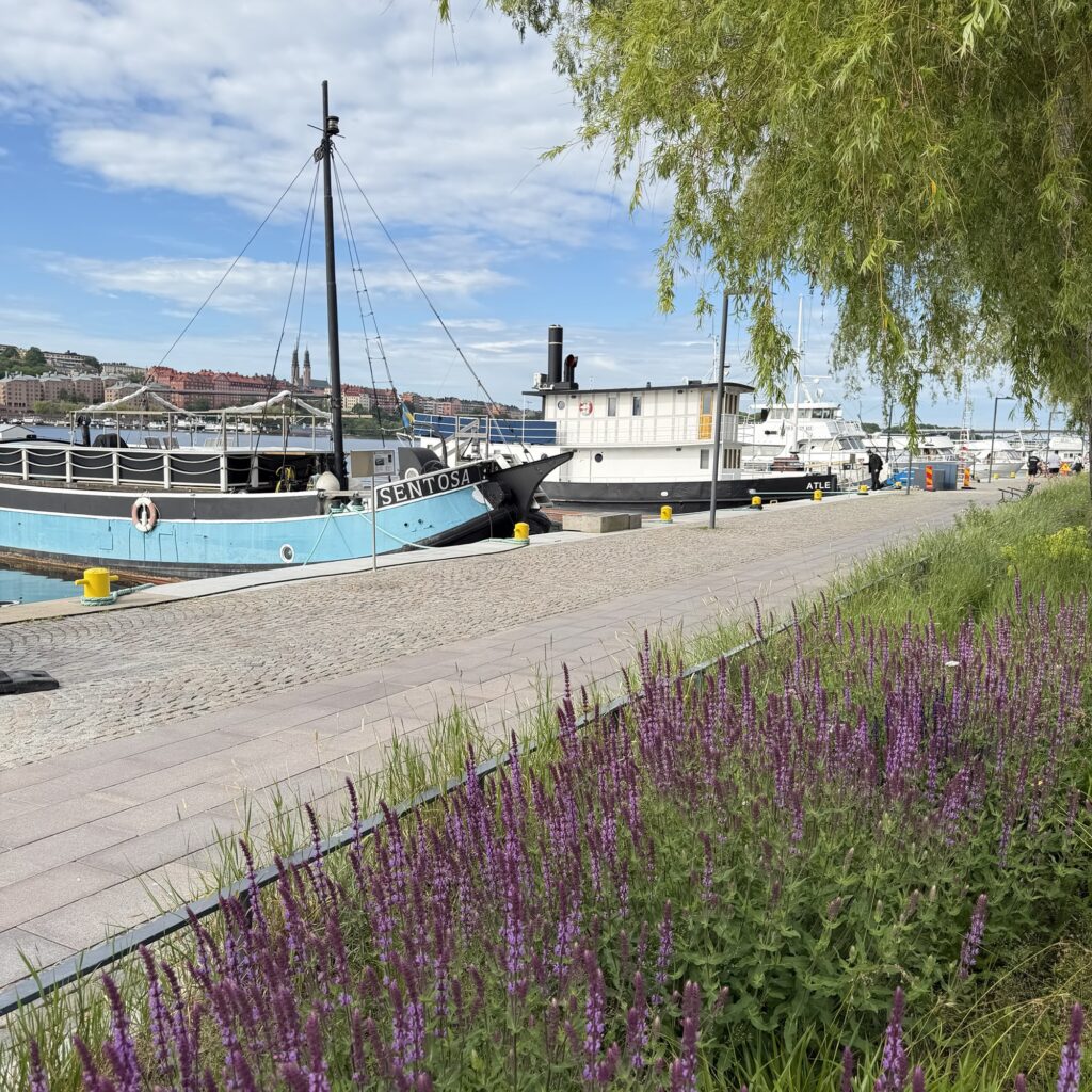Stockholm erleben: Königsschloss, Altstadt und Hafen – Warum Schwedens Hauptstadt zu den schönsten Städten Europas zählt 9 img 5380 Janes Magazin