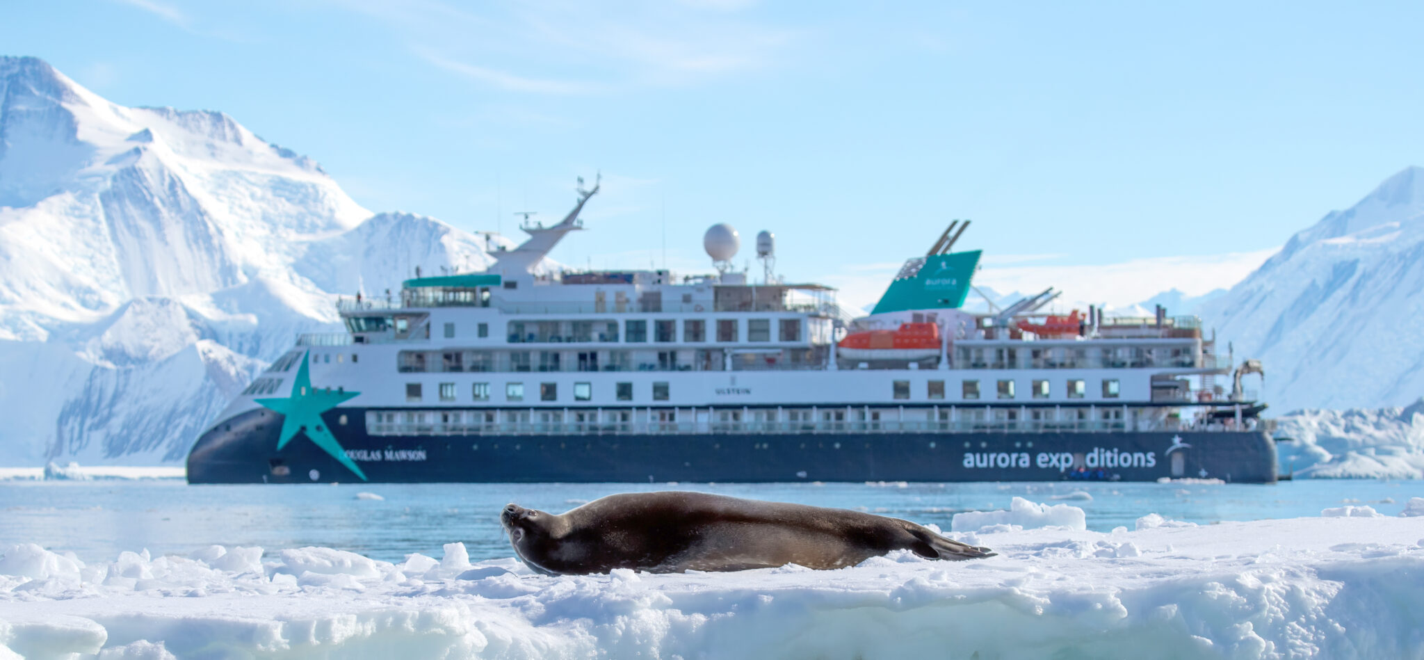 Vor der spektakulären Kulisse von Hallett Cove im Rossmeer ankert das Expeditionsschiff Douglas Mawson. Gewaltige Gletscher, zerklüftete Küsten und eine nahezu unberührte Eislandschaft machen diese abgelegene Region zu einem der eindrucksvollsten Reiseziele der Antarktis. Mit IKARUS TOURS und PolarNEWS erleben Gäste die Faszination des siebten Kontinents auf außergewöhnlichen Expeditionen. Foto: © Rachelle Mackintosh / @faunographic