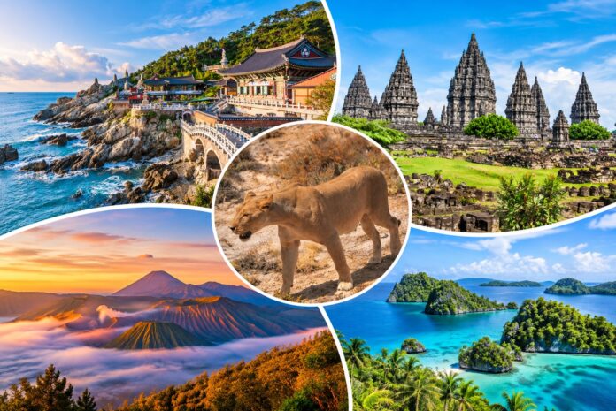 Reisewelten von IKARUS TOURS – Impressionen aus Südkorea, Indonesien und Namibia. Bildnachweis: Bildmaterial: IKARUS TOURS | Collage: KI-gestützt erstellt