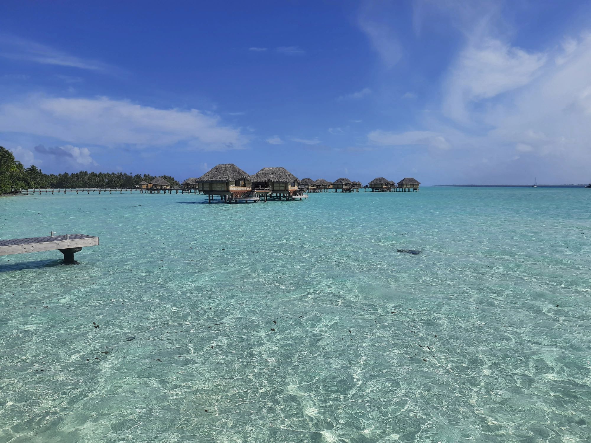 IKARUS TOURS: Neue Fernreisen und Europareisen 2027 6 Südseeparadies Französisch-Polynesien: Traditionelle Overwater-Bungalows liegen über dem kristallklaren, türkisfarbenen Wasser einer tropischen Lagune. Mit IKARUS TOURS lassen sich die faszinierenden Inselwelten Französisch-Polynesiens auf außergewöhnlichen Fernreisen entdecken. Bild: © IKARUS TOURS